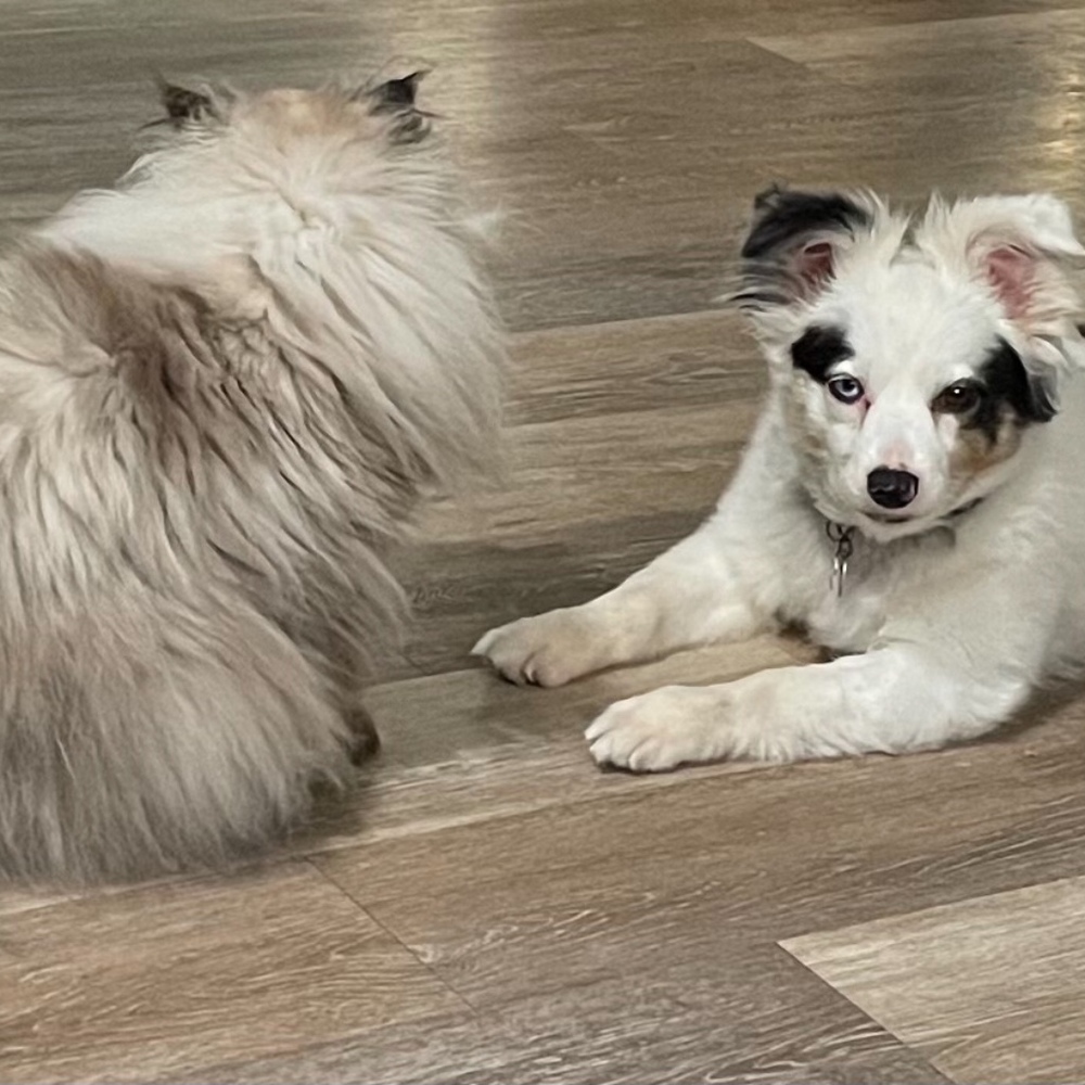 Meet your Posher, Zoe